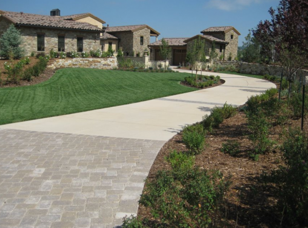 Paving Beton Polos dengan Aksen Tanaman Hijau